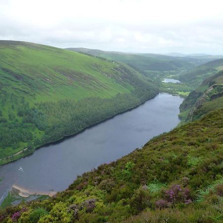 Bed and Breakfast Lough Dan House Oldbridge Esterno foto