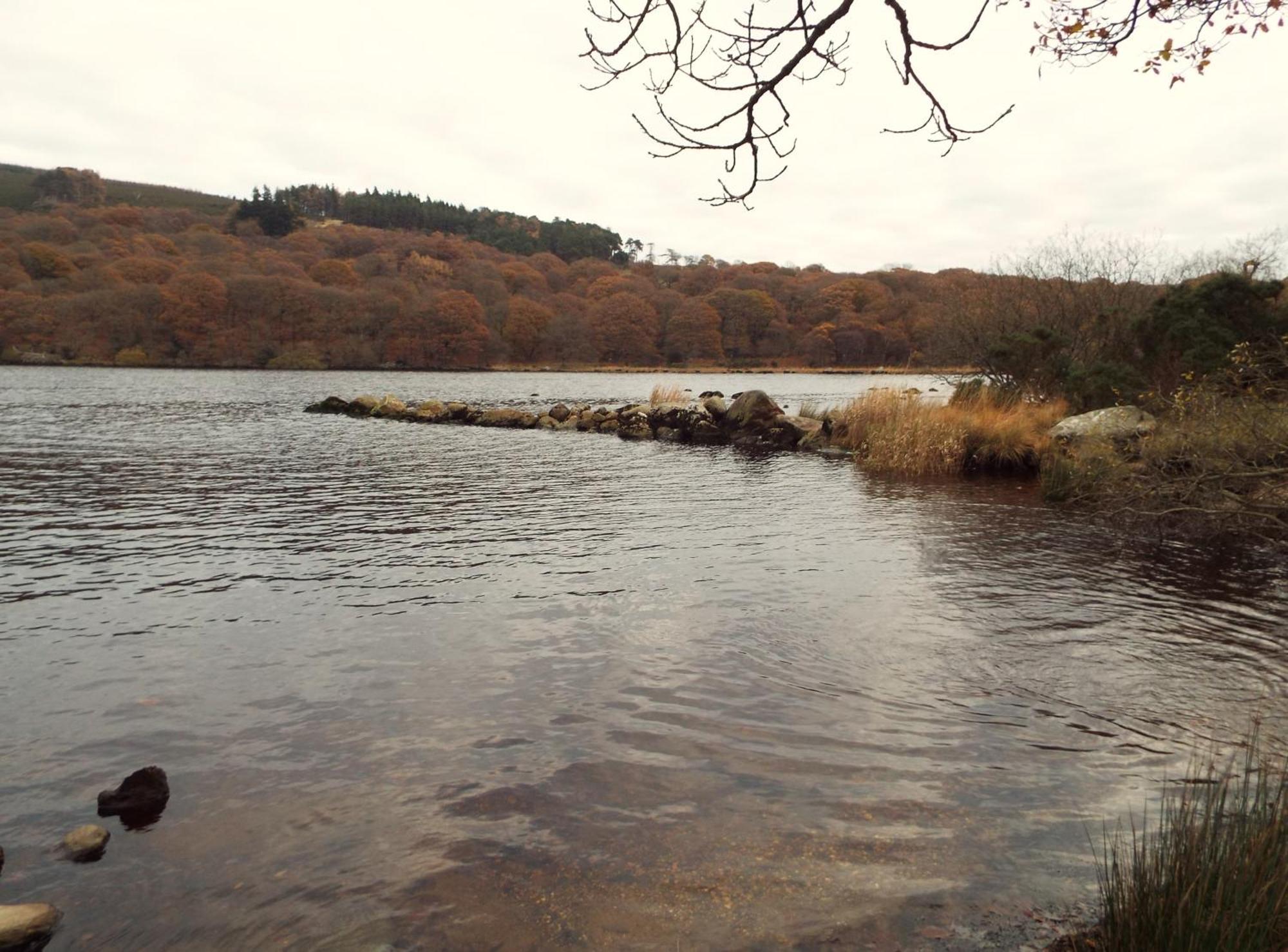 Bed and Breakfast Lough Dan House Oldbridge Esterno foto