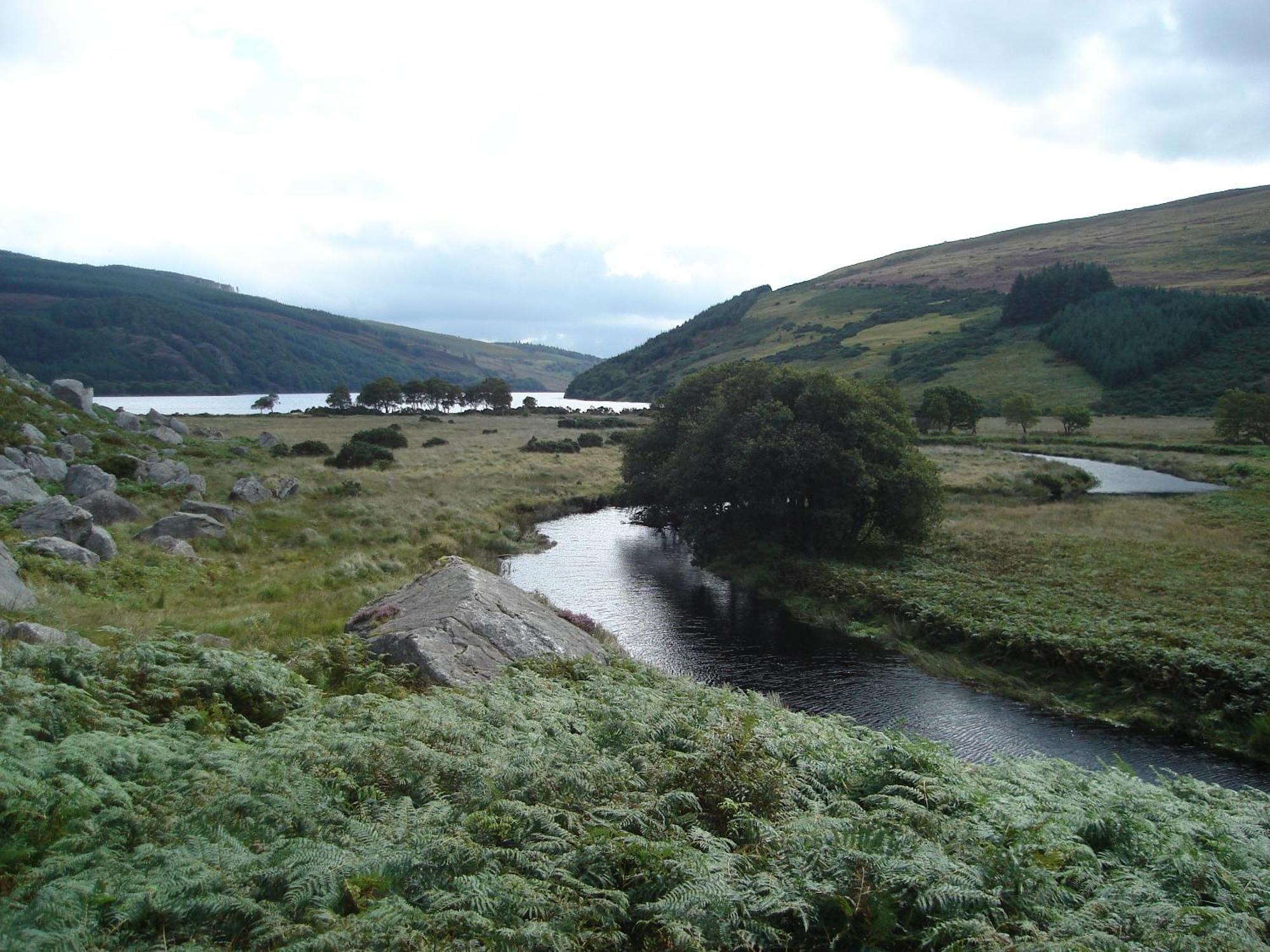 Bed and Breakfast Lough Dan House Oldbridge Esterno foto