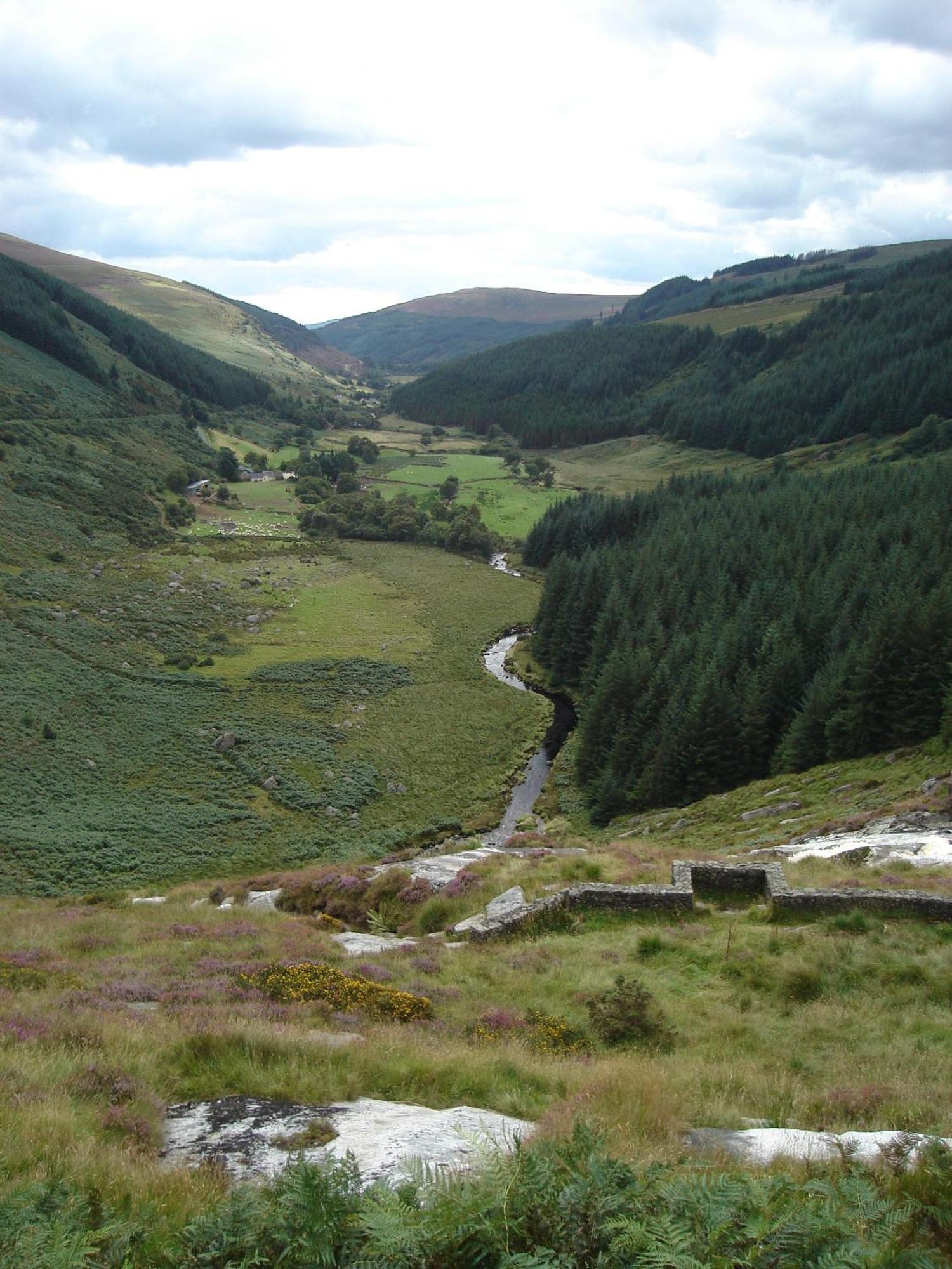 Bed and Breakfast Lough Dan House Oldbridge Esterno foto