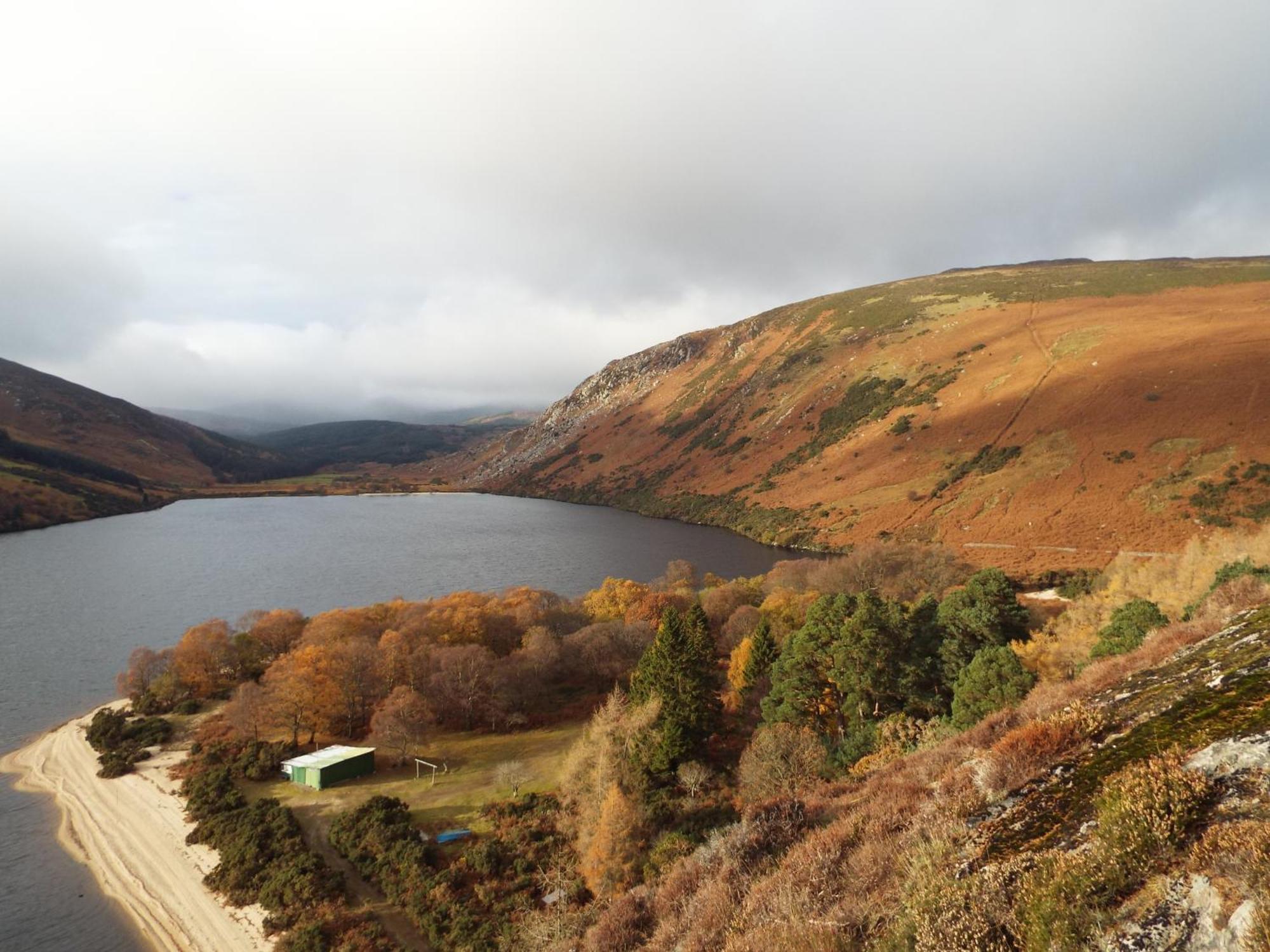 Bed and Breakfast Lough Dan House Oldbridge Esterno foto