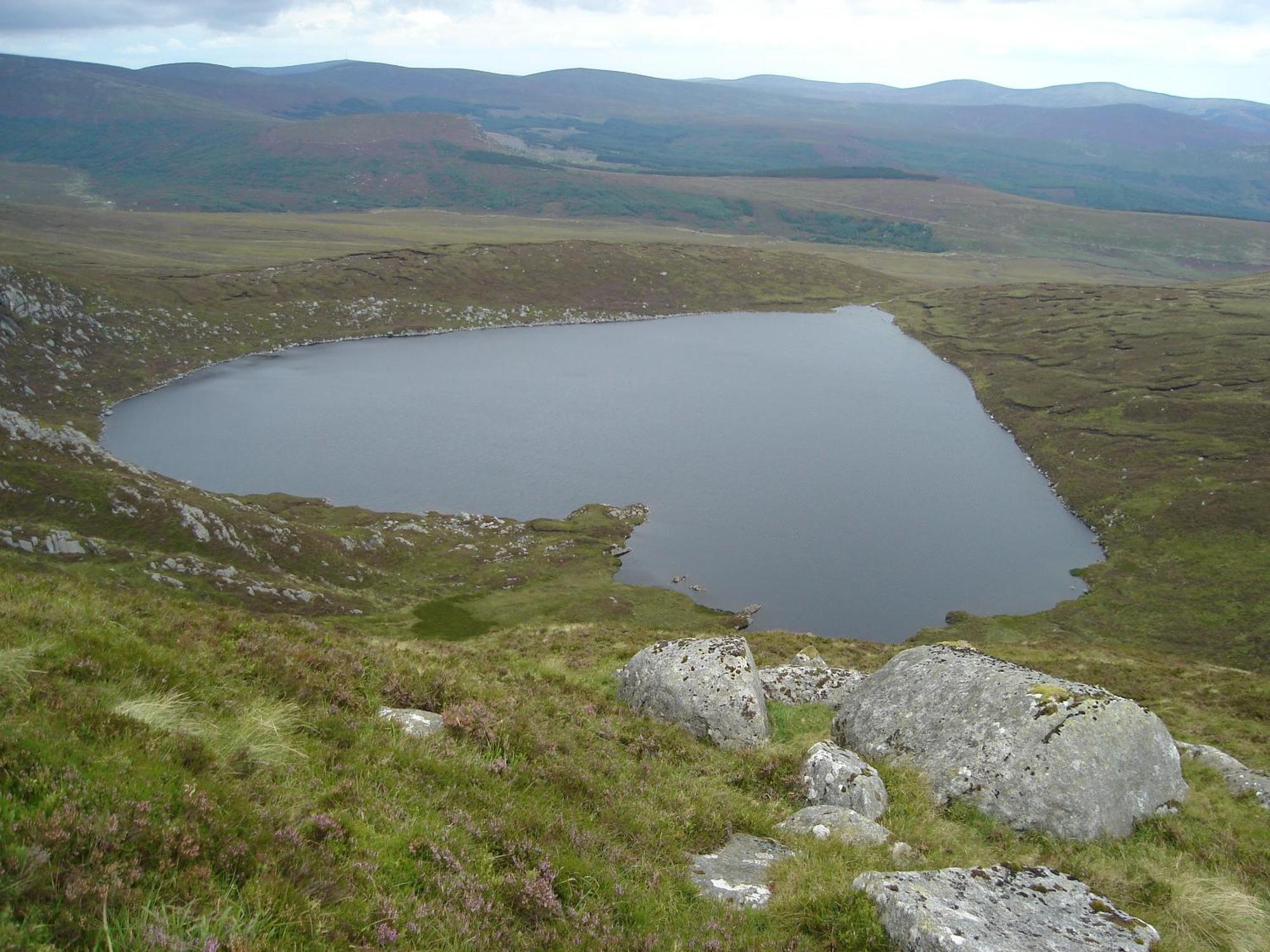 Bed and Breakfast Lough Dan House Oldbridge Esterno foto